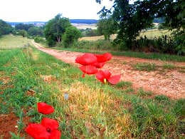 wandelvakantie Frankrijk bij la Tourelle