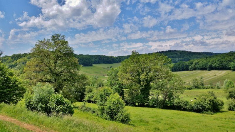 Haute Saône, 50 tinten groen